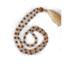 Original Panch Mukhi Rudraksha – Best Price | Benefits: Calm Mind, Focus & Protection | Certified Genuine Bead